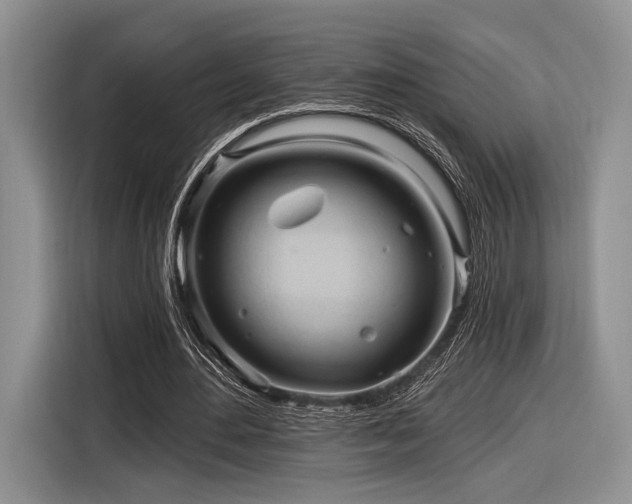 X0000116890484200912221456