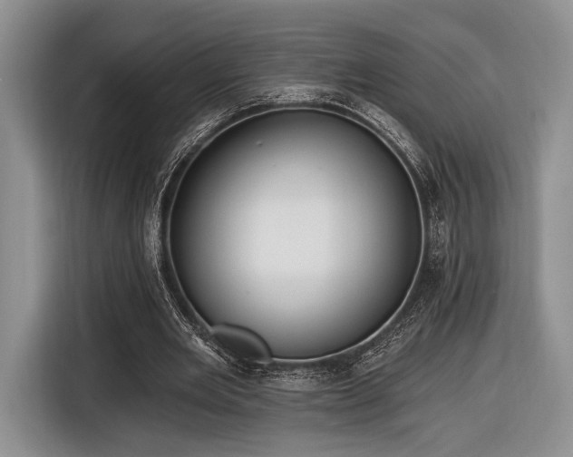 X0000116890485200912221456