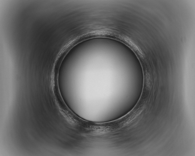 X0000116890486200912221456