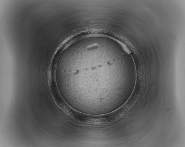 X0000116890488200912221456