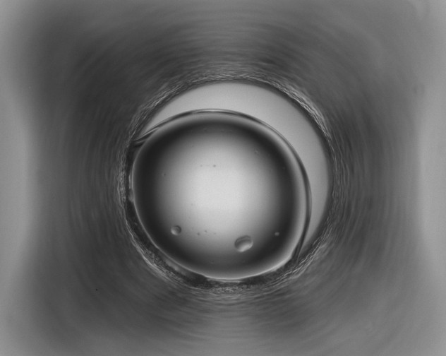 X0000116890489200912221456