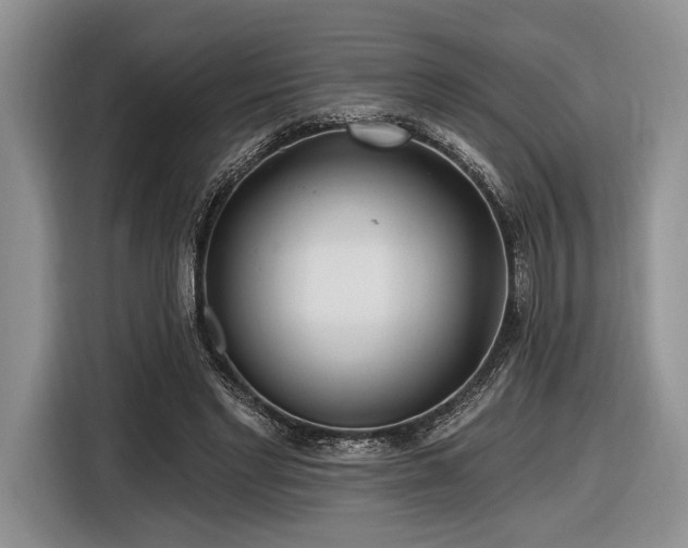 X0000116890493200912221456