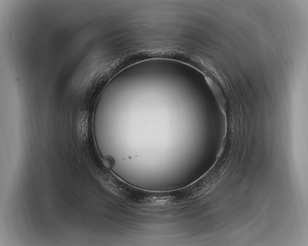 X0000116890495200912221456