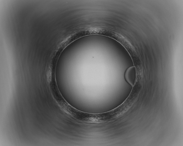 X0000116890496200912221456