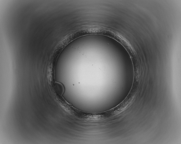 X0000116890497200912221456