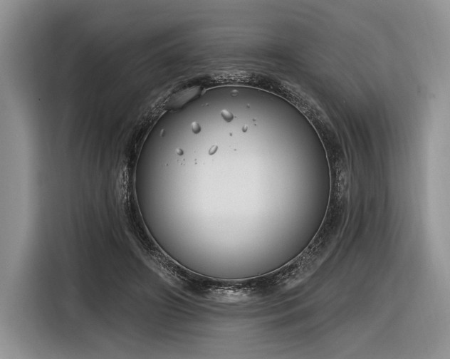 X0000116890498200912221456