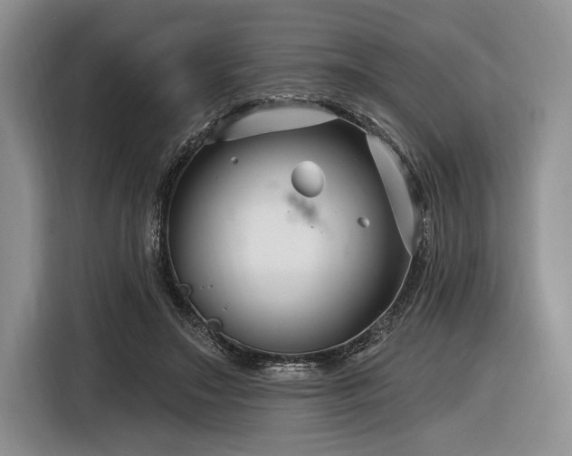 X0000116890499200912221456