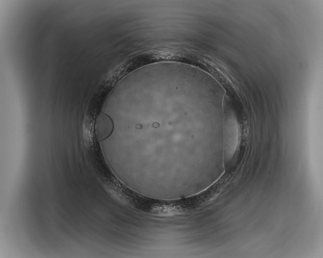 X0000116890503200912221456