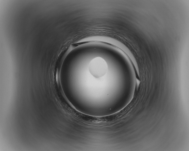X0000116890504200912221456