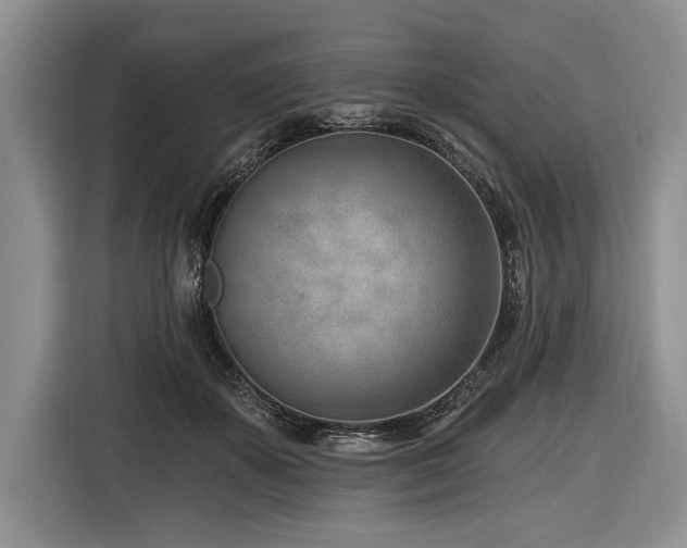 X0000116890507200912221456