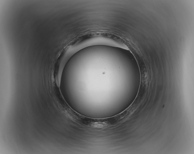 X0000116890508200912221456
