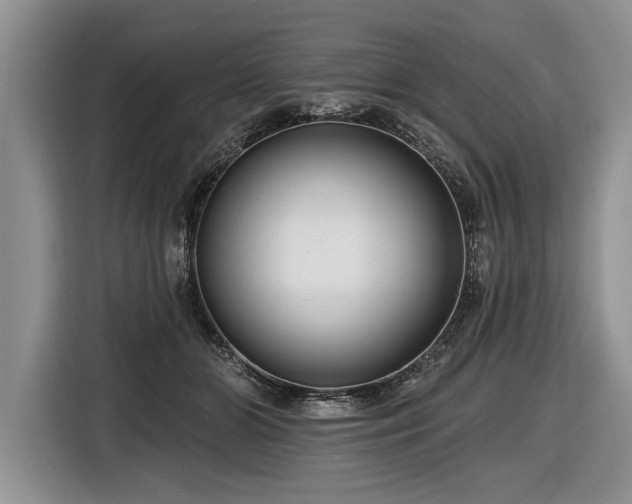 X0000116890510200912221456