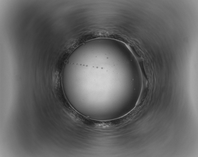 X0000116890511200912221456