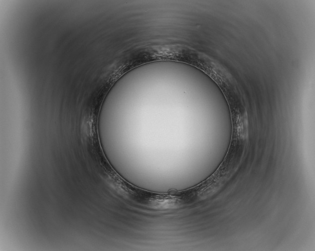 X0000116890514200912221456