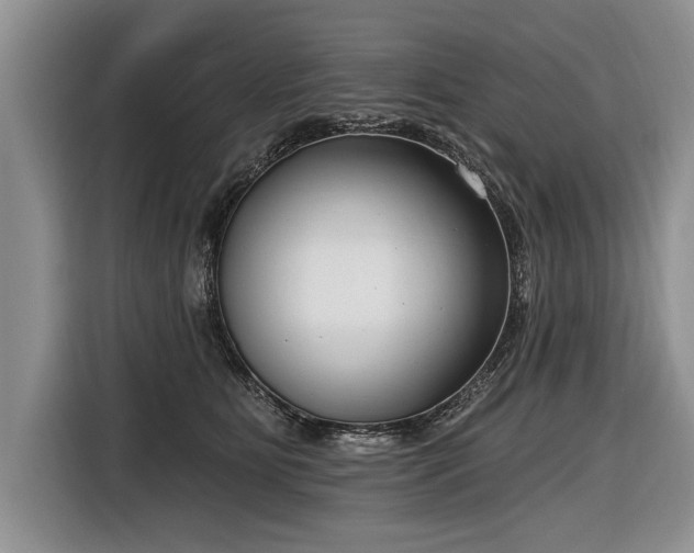 X0000116890515200912221456