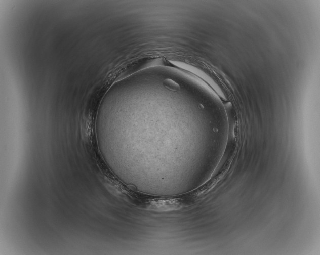 X0000116890517200912221456