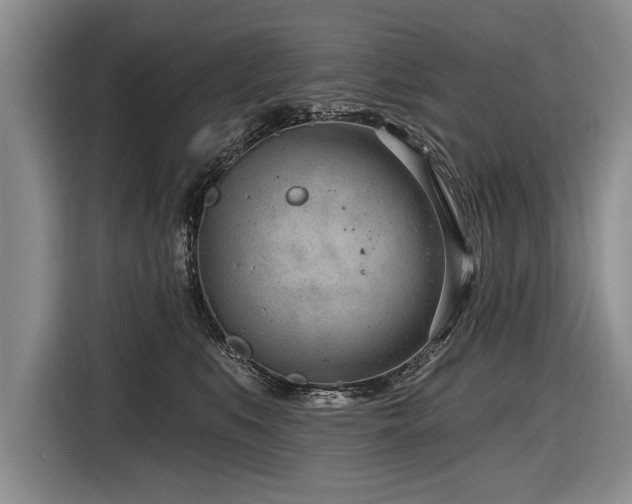 X0000116890519200912221456