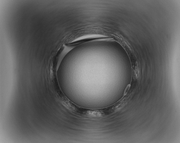 X0000116890520200912221456