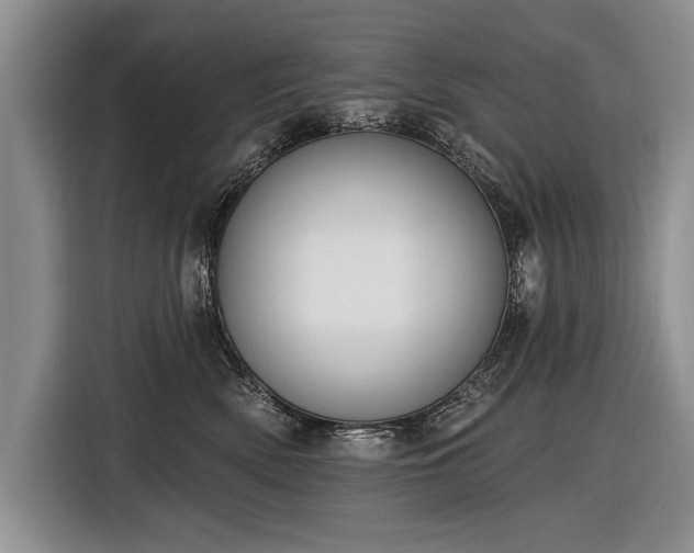 X0000116890522200912221456