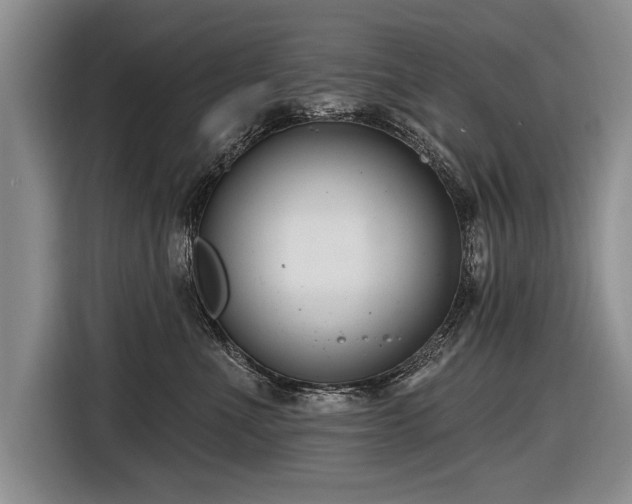 X0000116890523200912221456