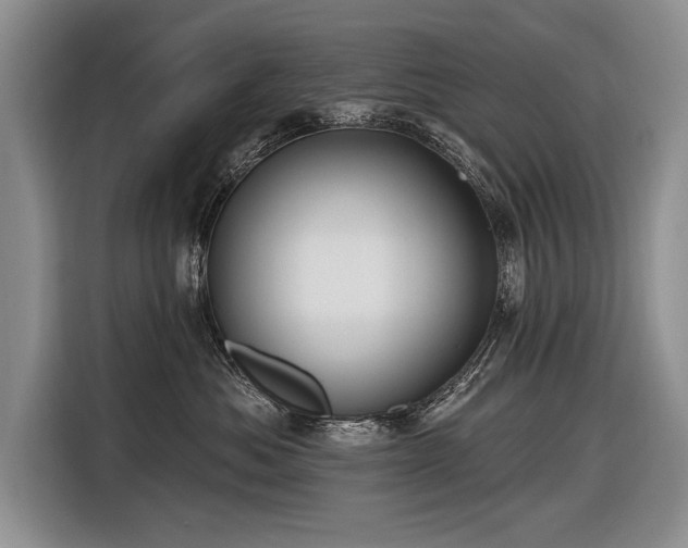 X0000116890525200912221456