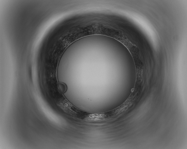 X0000116890526200912221456