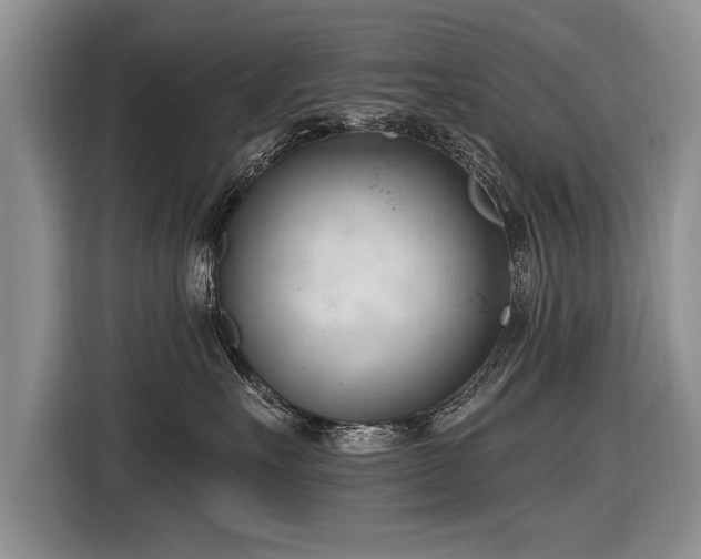 X0000116890527200912221456