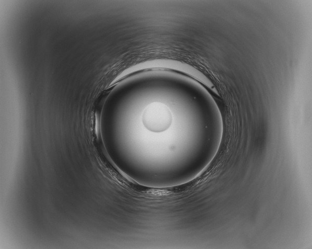 X0000116890528200912221456