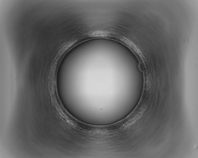 X0000116890529200912221455
