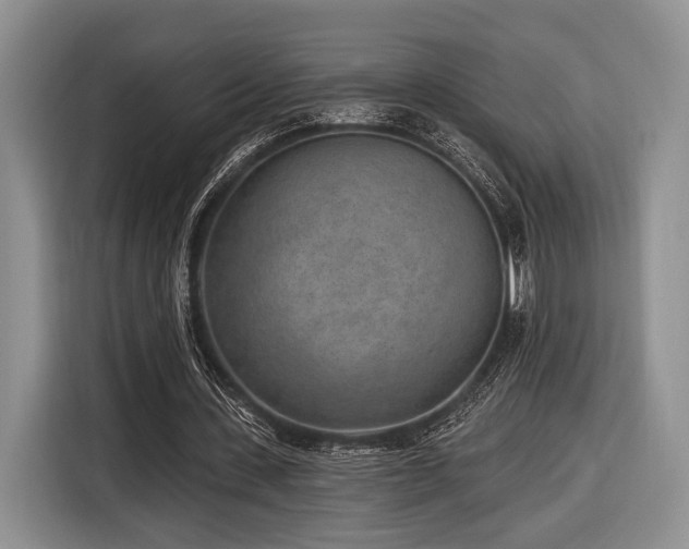 X0000116890531200912221455