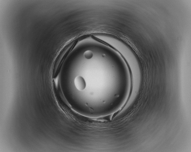 X0000116890534200912221455