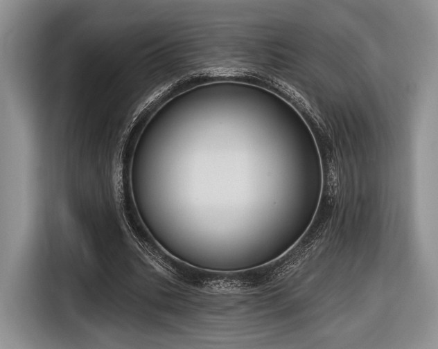 X0000116890535200912221455
