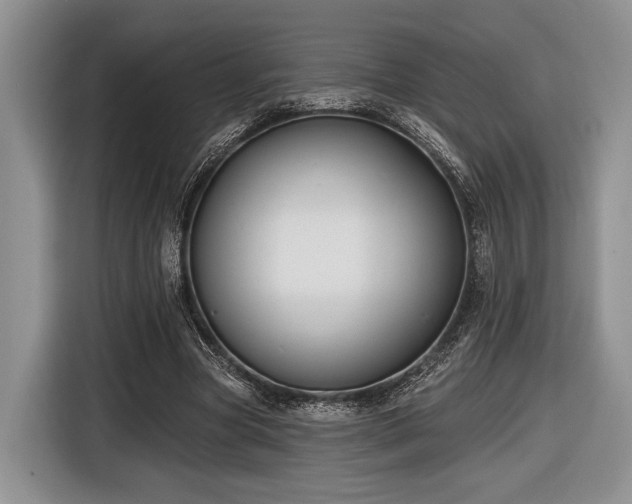 X0000116890537200912221455