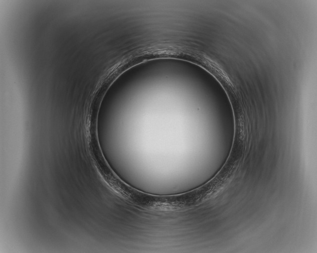 X0000116890538200912221455