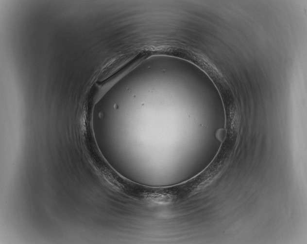 X0000116890542200912221455