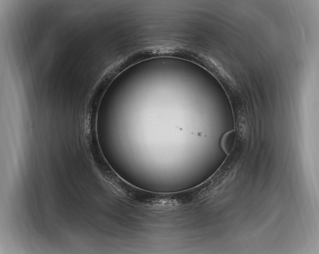 X0000116890543200912221455