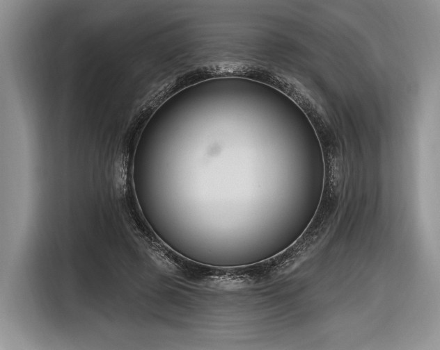 X0000116890545200912221455