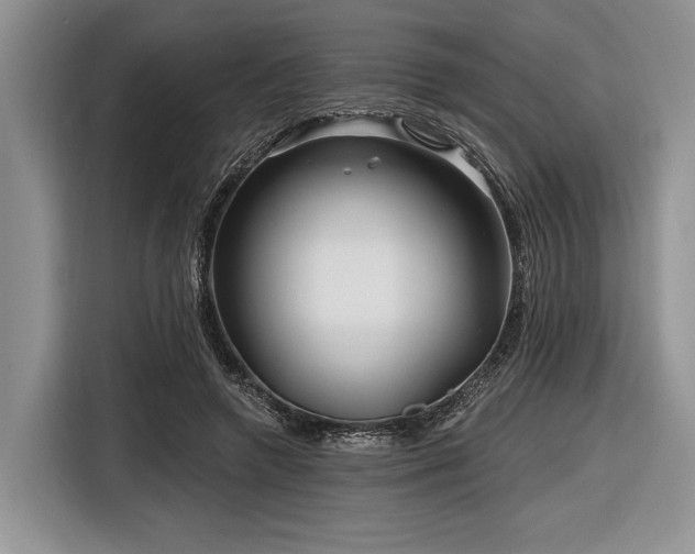 X0000116890546200912221455
