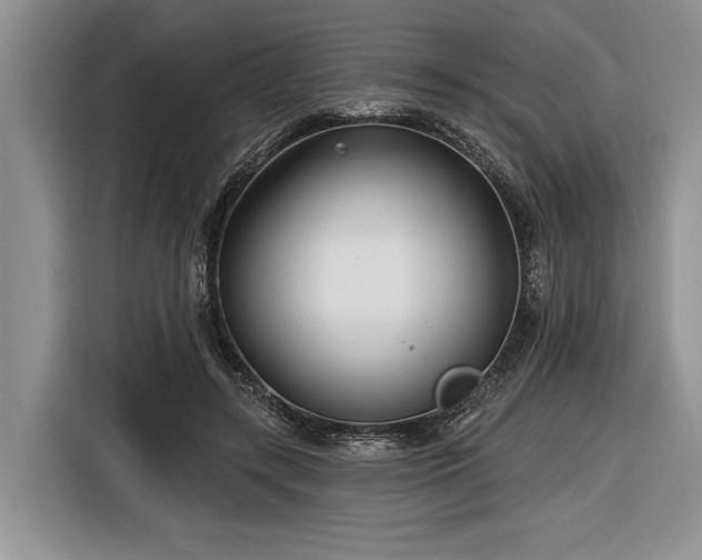 X0000116890547200912221455