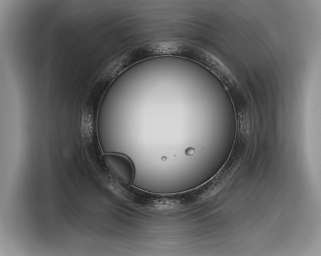 X0000116890549200912221455