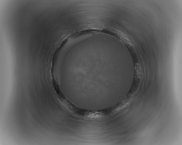 X0000116890550200912221455