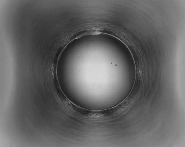 X0000116890551200912221455