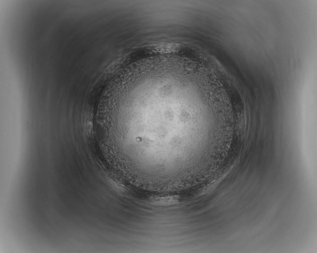 X0000116890553200912221455