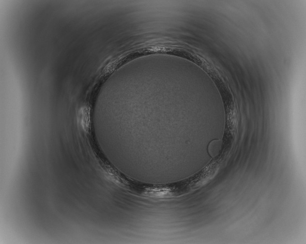 X0000116890554200912221455