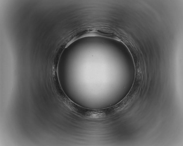 X0000116890555200912221455