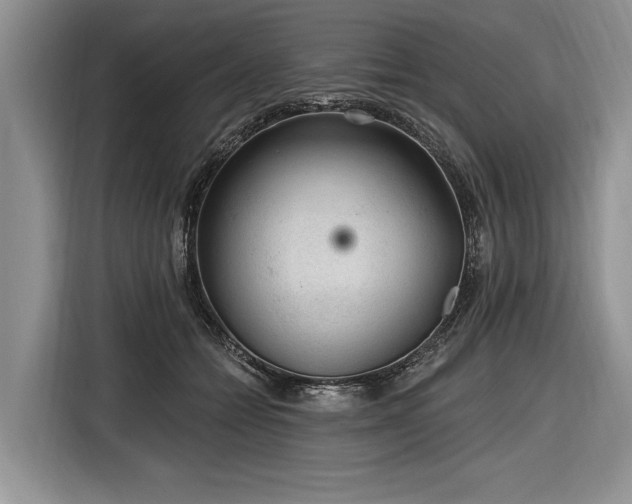 X0000116890558200912221455