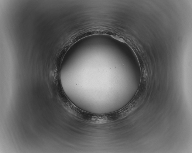 X0000116890559200912221455