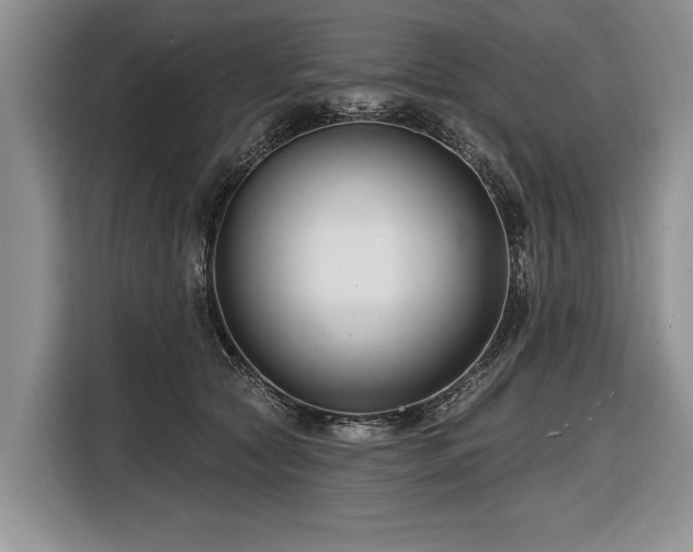 X0000116890561200912221455