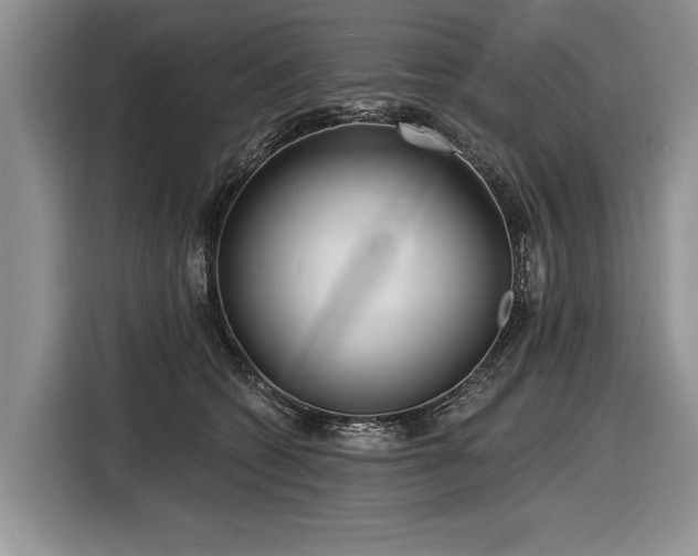 X0000116890562200912221455