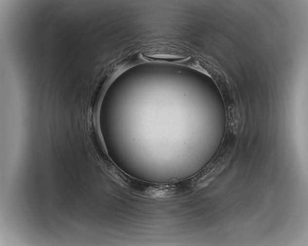 X0000116890563200912221455